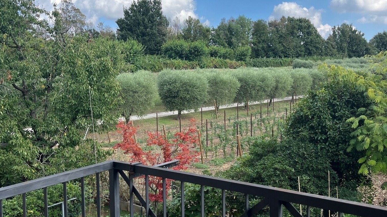Photo of Outdoor in Desenzano del Garda