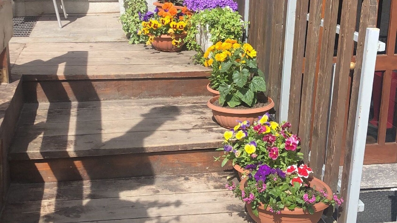 Photo of Outdoor in Campodolcino