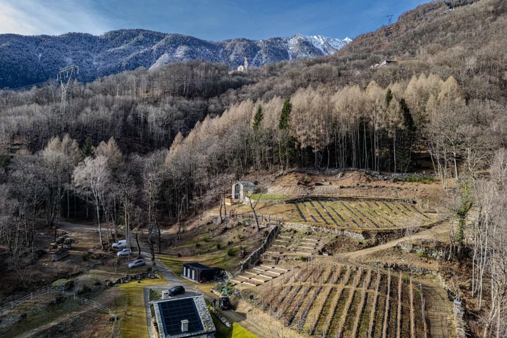 Photo of Outdoor in Menarola