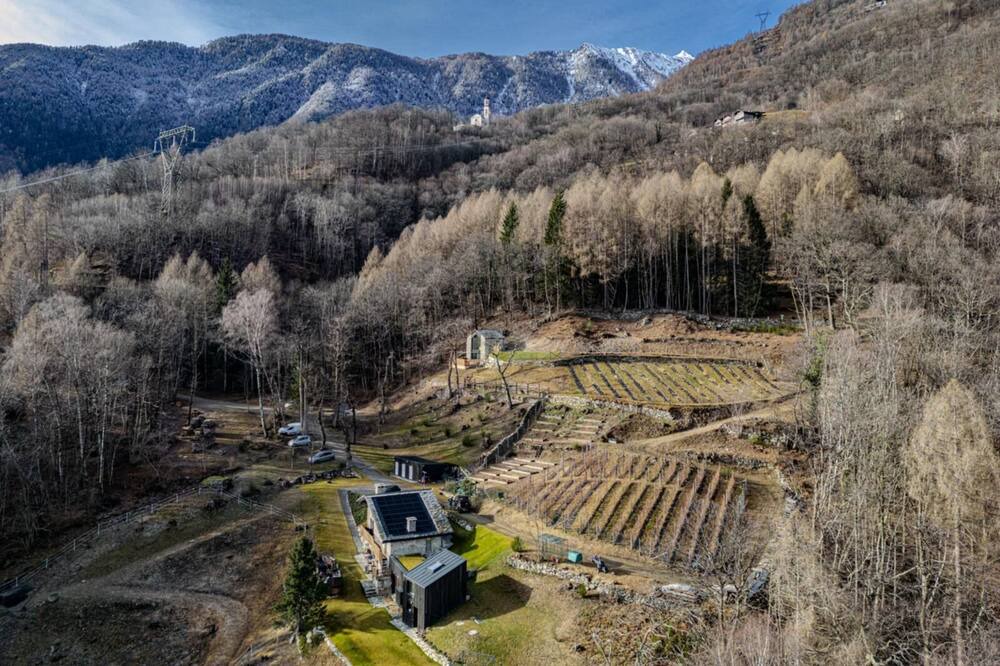 Photo of Outdoor in Menarola