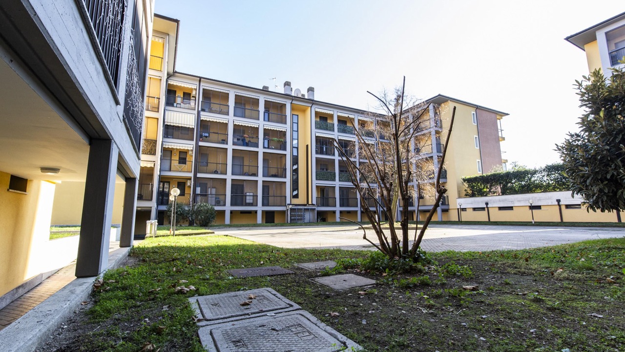Photo of Others in Rozzano