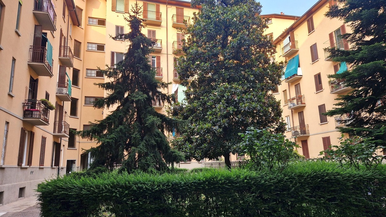 Photo of Outdoor in Montalbino