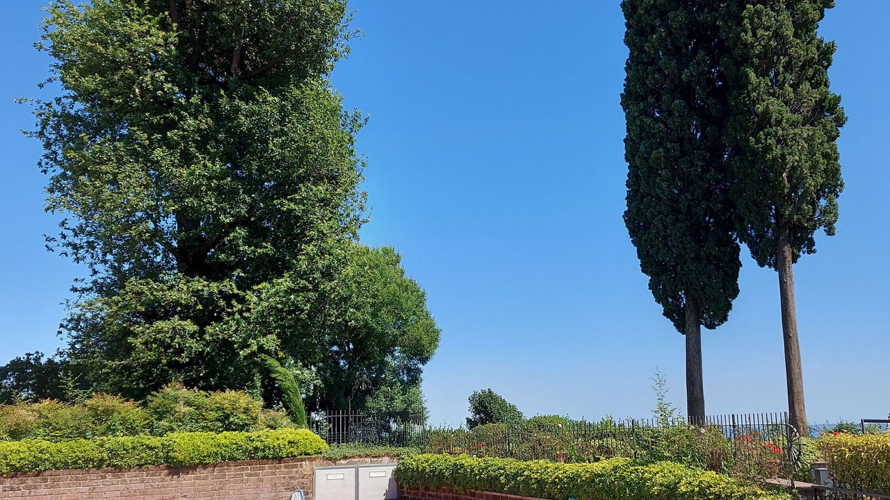 Photo of Outdoor in Picedo