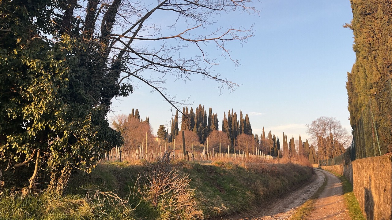 Photo of Outdoor in Polpenazze del Garda