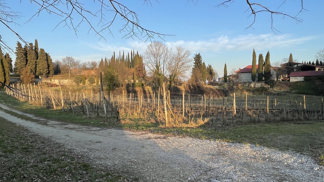 Photo of Outdoor in Polpenazze del Garda
