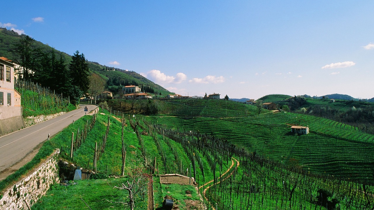 Photo of Outdoor in Ome