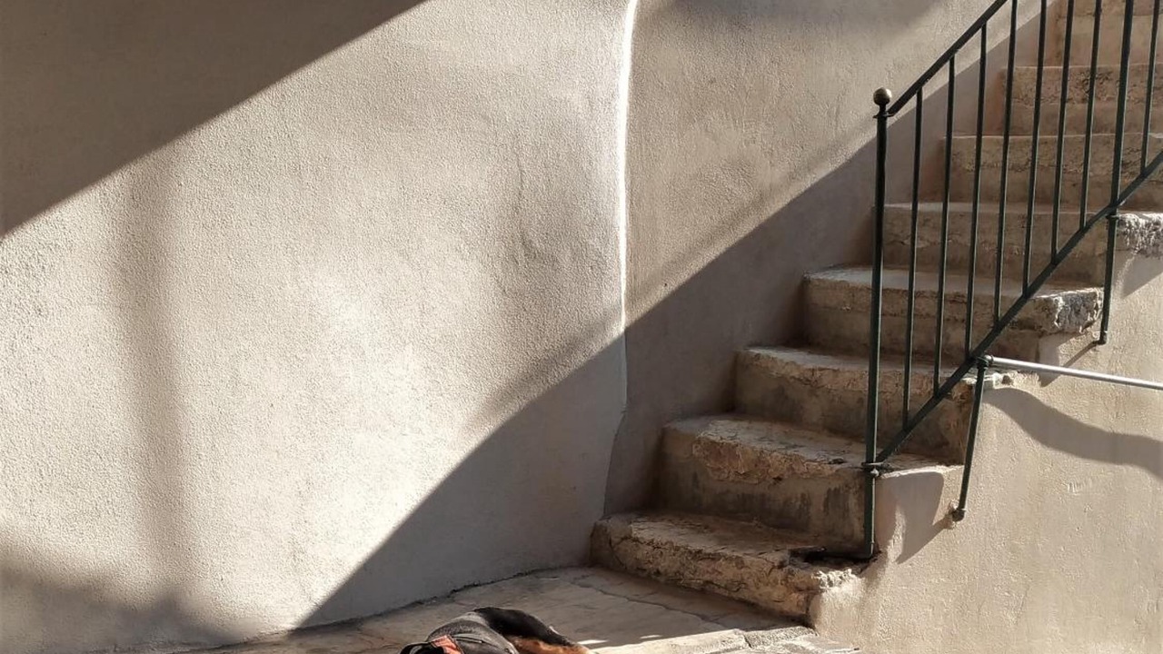 Photo of Others in Pieve