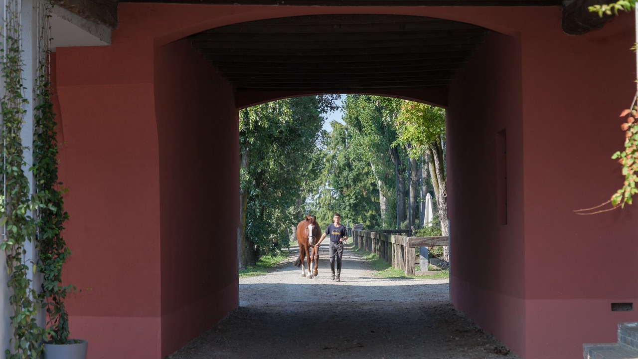 Photo of Outdoor in Casarile