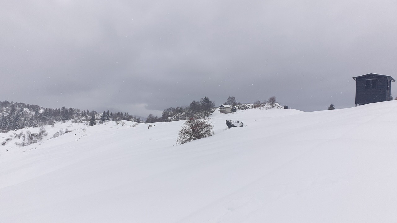 Photo of Others in Moggio