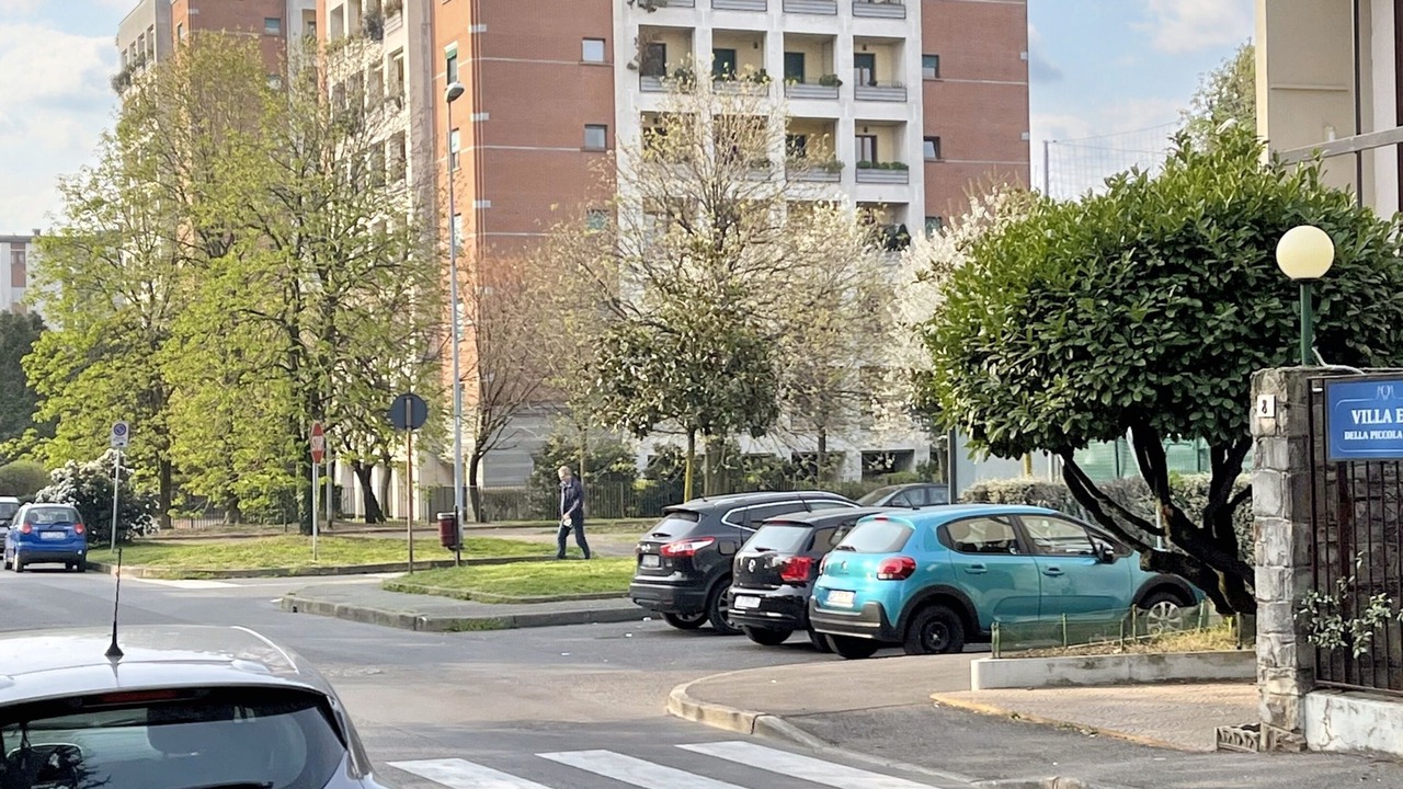 Photo of Others in Monza
