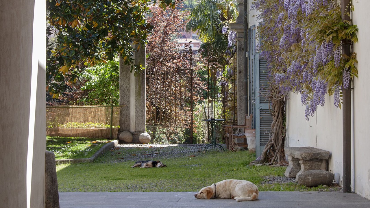 Photo of Outdoor in Azzate
