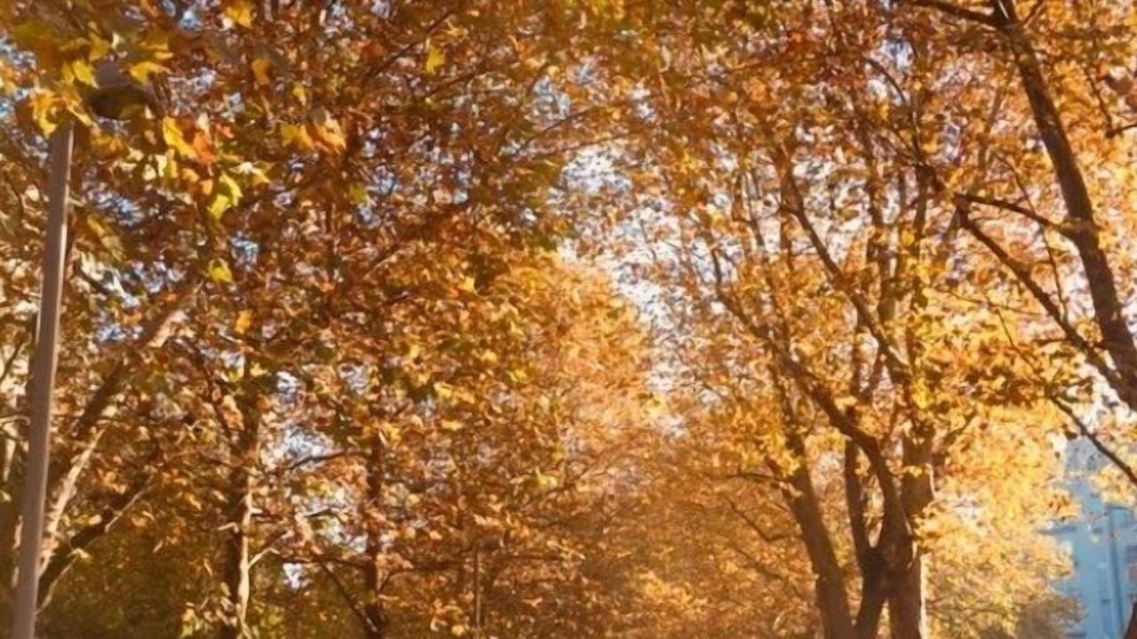 Photo of Outdoor in Tre Torri