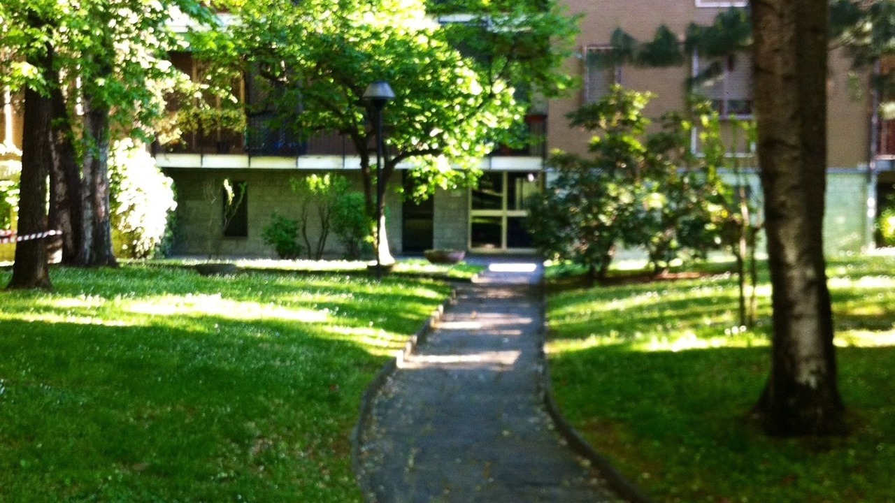 Photo of Outdoor in San Siro