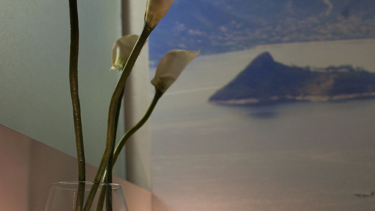 Photo of Bedroom in Ortica