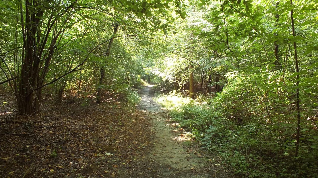 Photo of Outdoor in Marcignago
