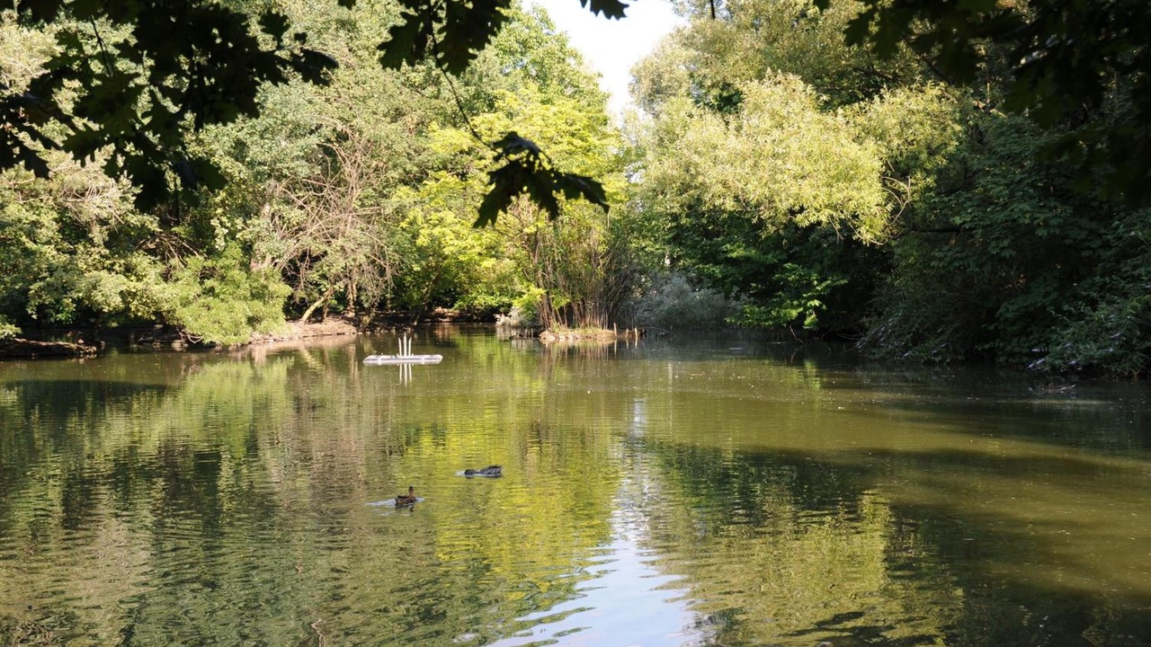 Photo of Outdoor in Marcignago