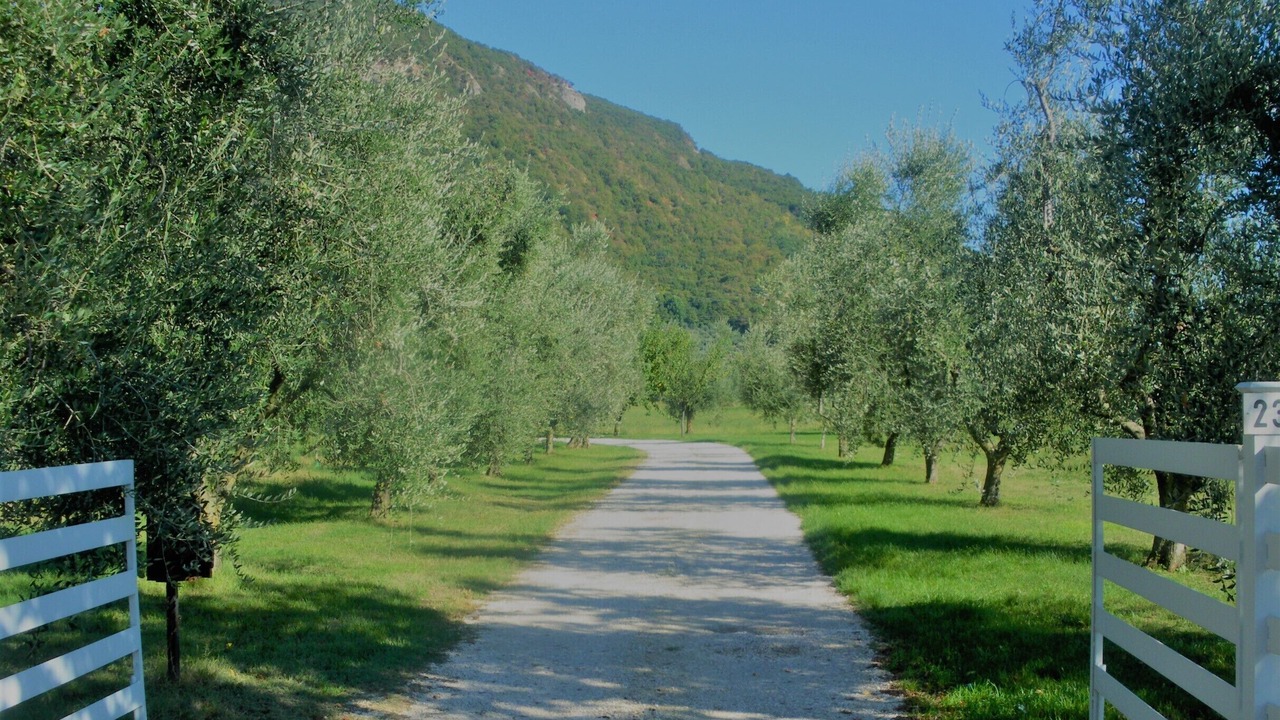 Photo of Outdoor in Salo