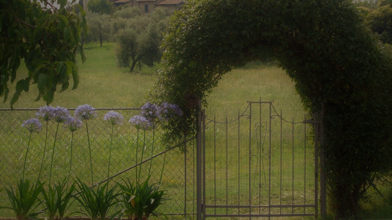 Photo of Outdoor in Salo