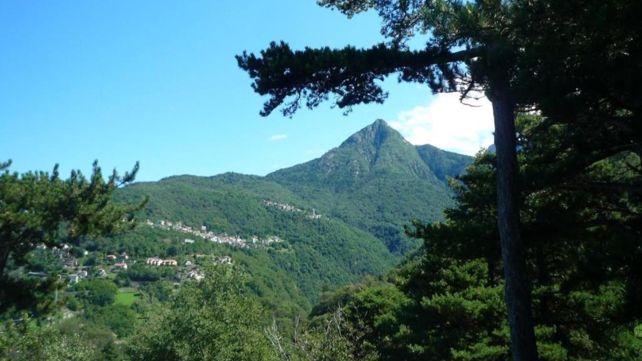 Photo of Others in Dervio
