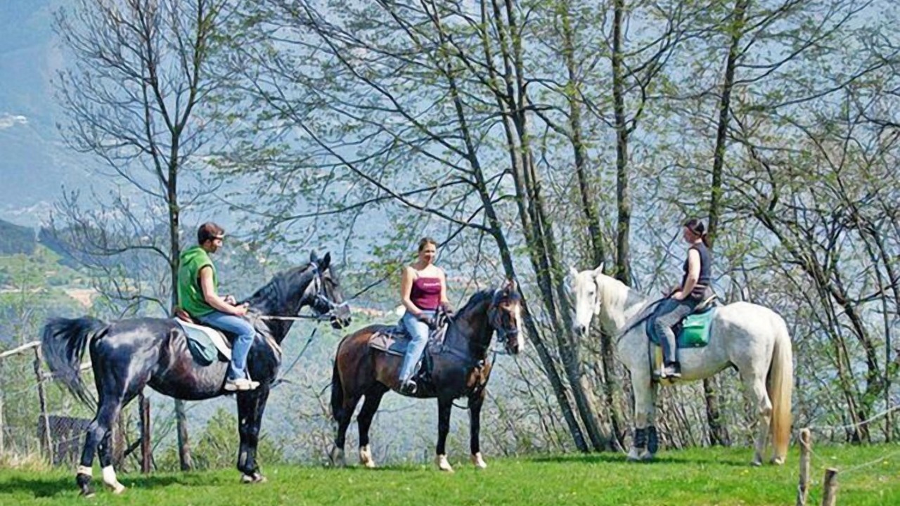 Photo of Others in Campi