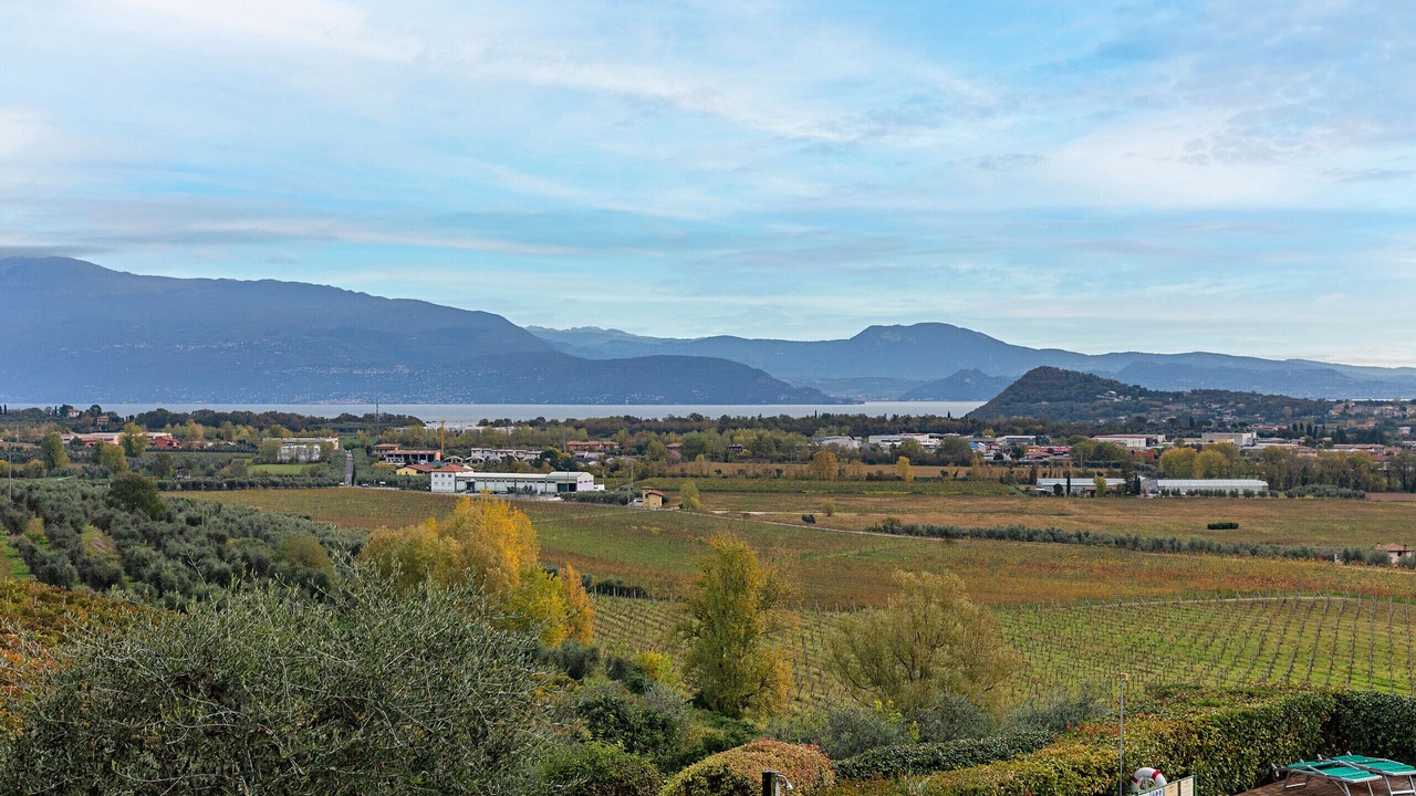 Photo of Outdoor in Picedo