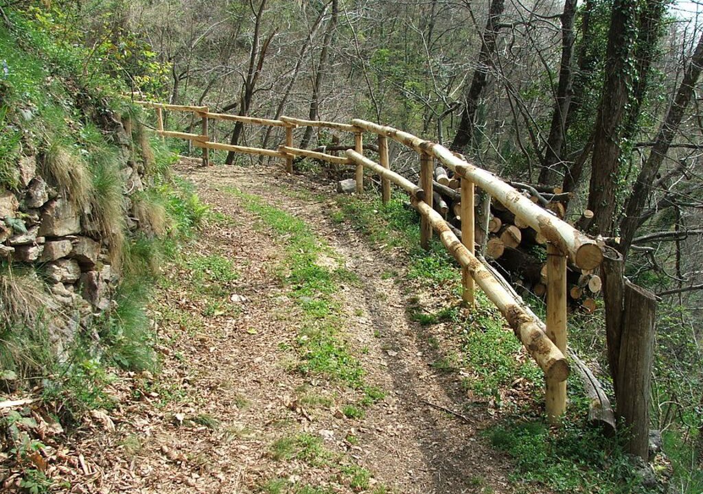 Photo of Outdoor in Taceno