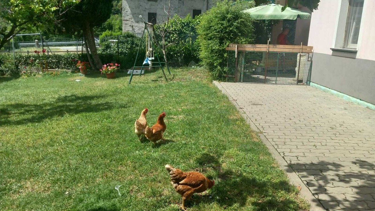 Photo of Outdoor in Grosio