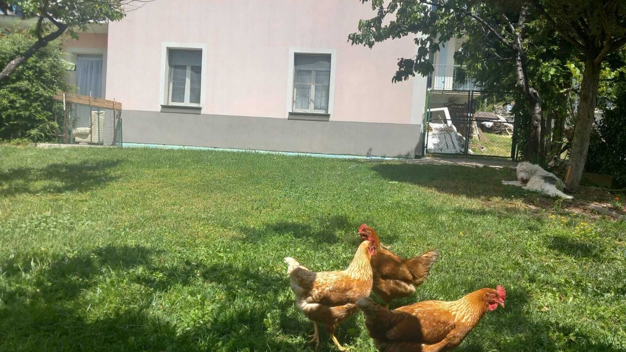 Photo of Outdoor in Grosio