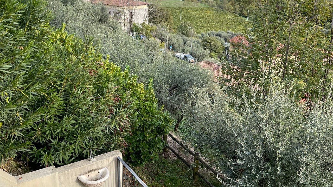 Photo of Outdoor in Polpenazze del Garda