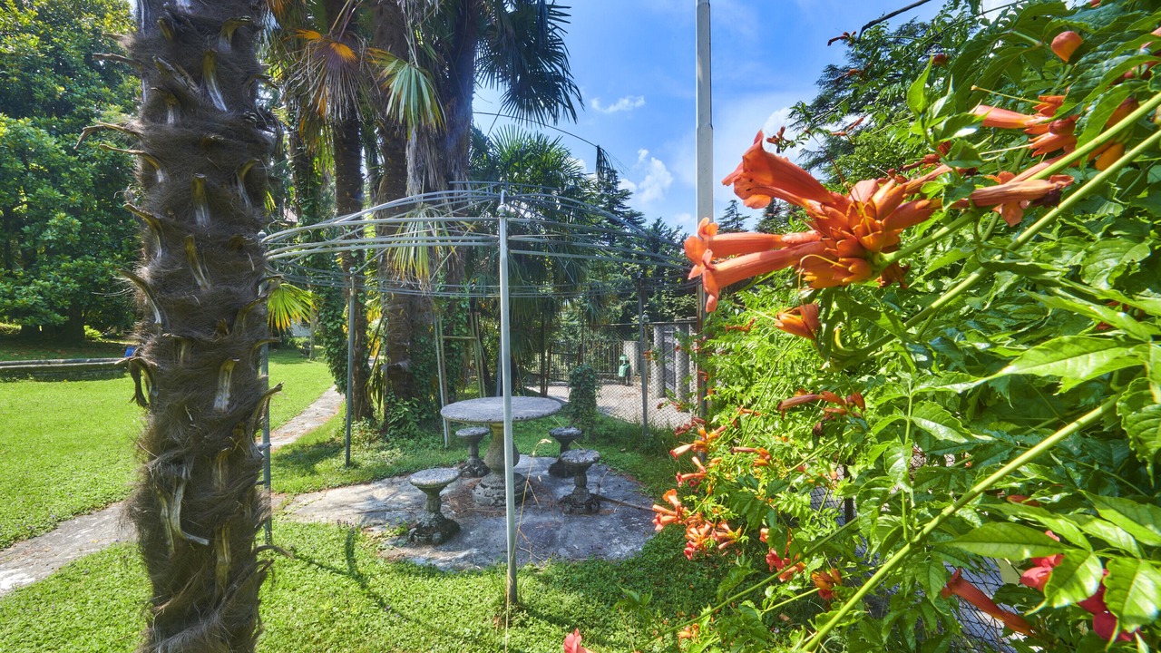 Photo of Outdoor in Lierna