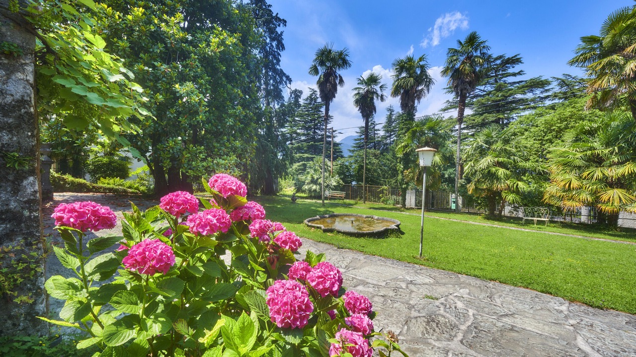 Photo of Outdoor in Lierna