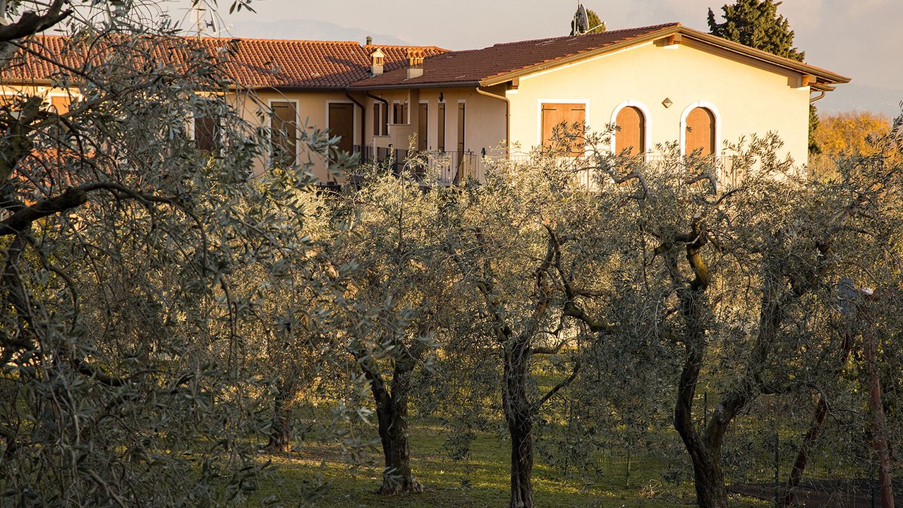 Photo of Outdoor in Portese