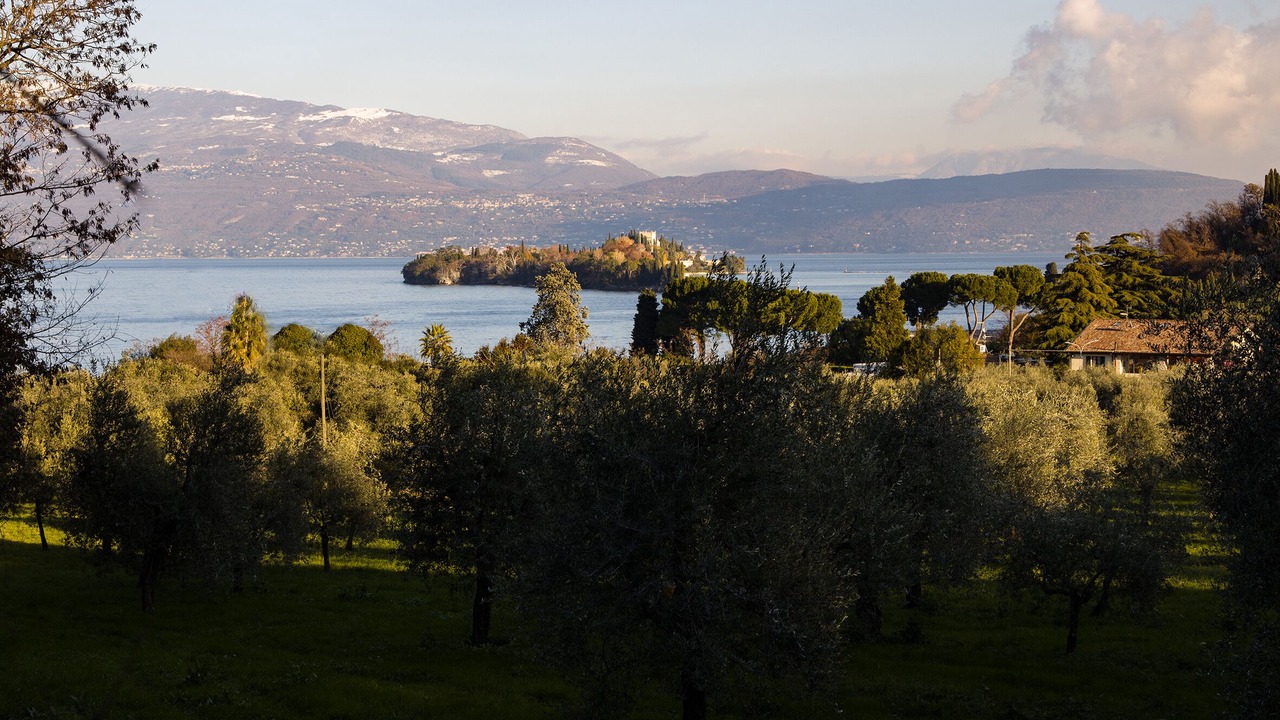 Photo of Outdoor in Portese