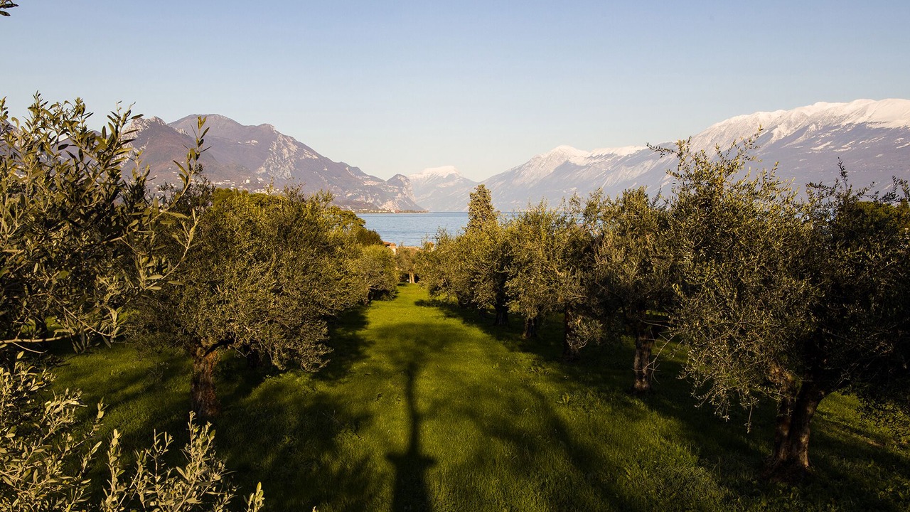 Photo of Outdoor in Portese
