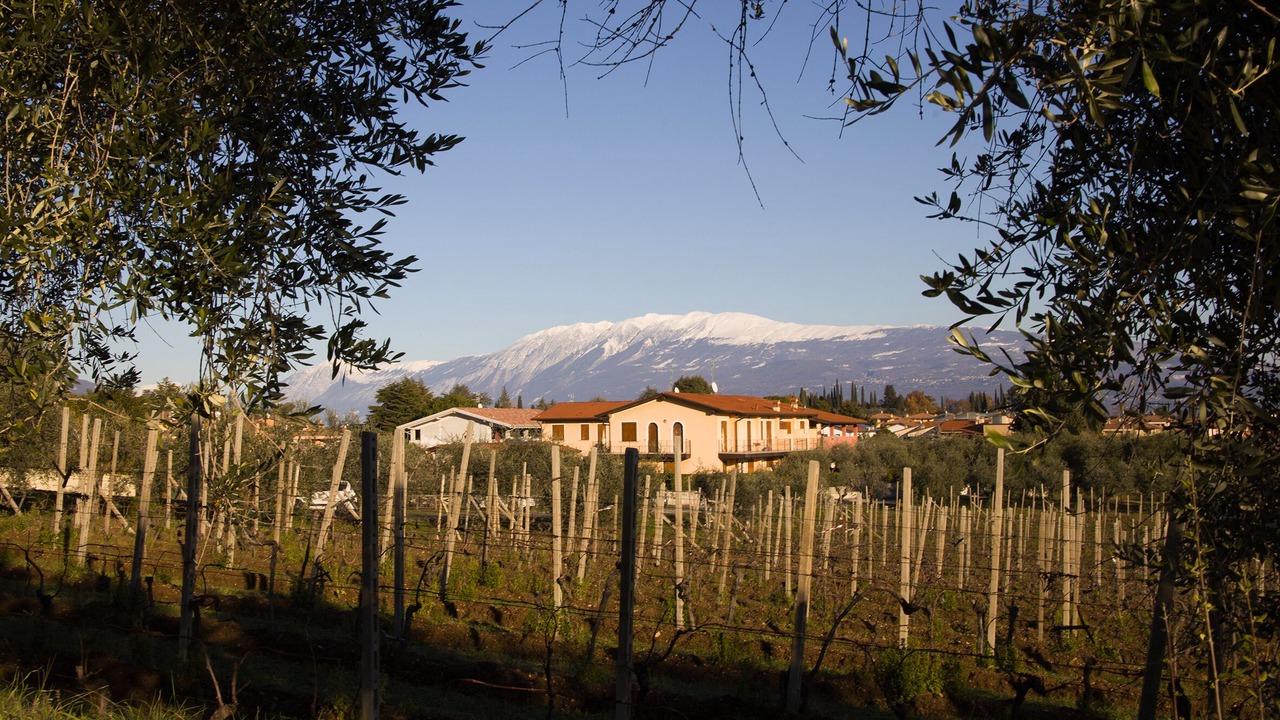 Photo of Outdoor in Portese