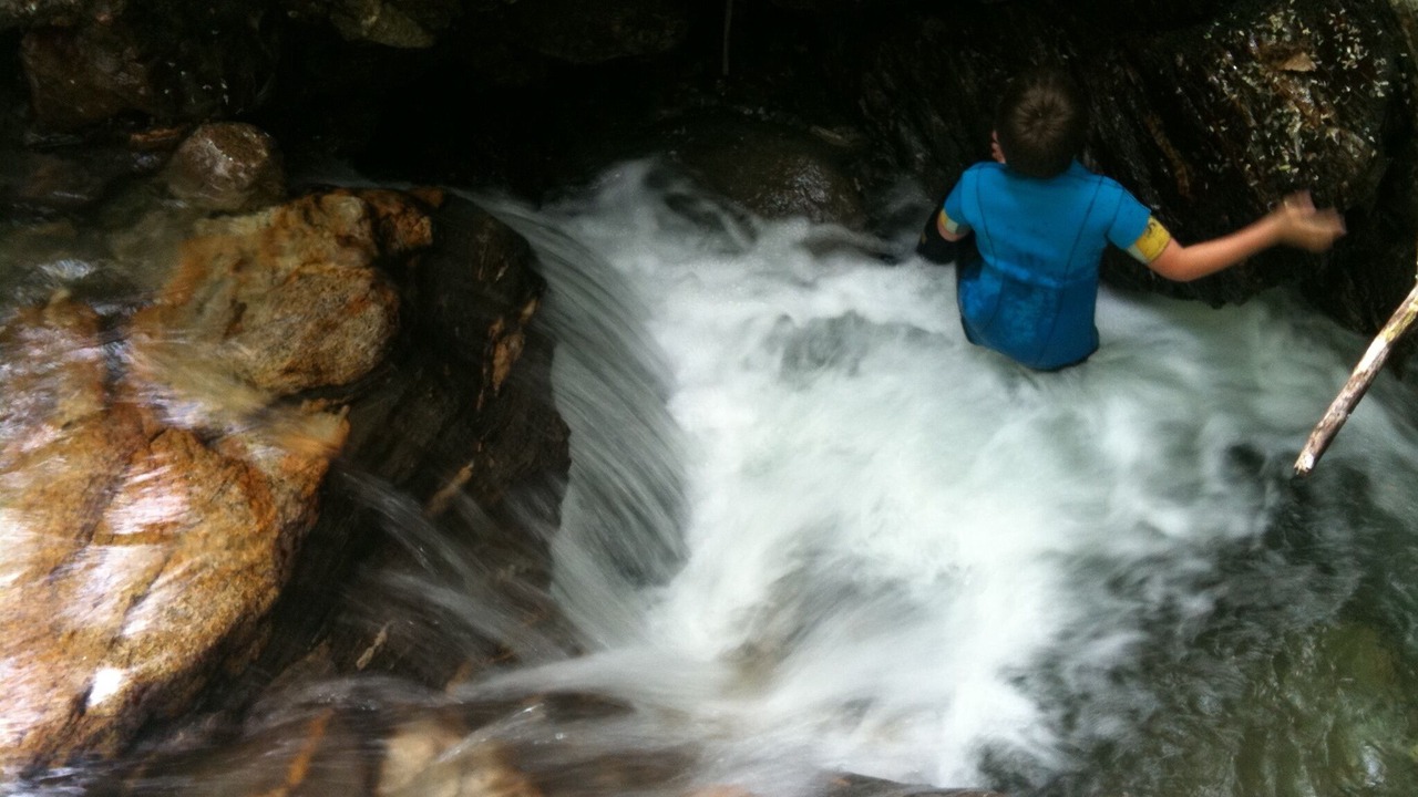 Photo of Others in Selva