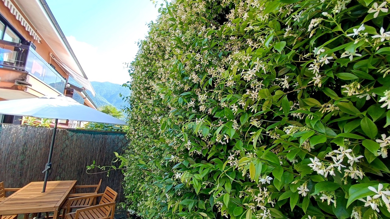 Photo of Outdoor in Porlezza