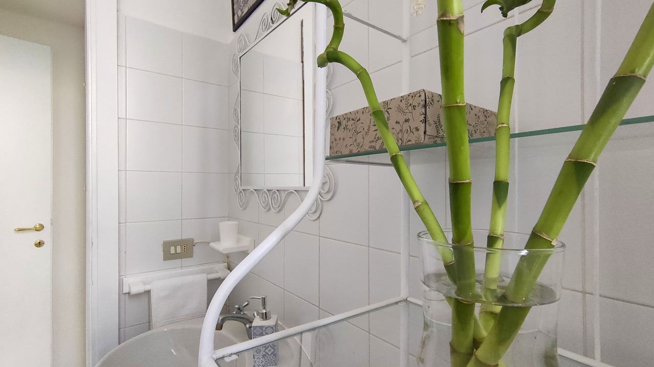 Photo of Bathroom in Citta Studi
