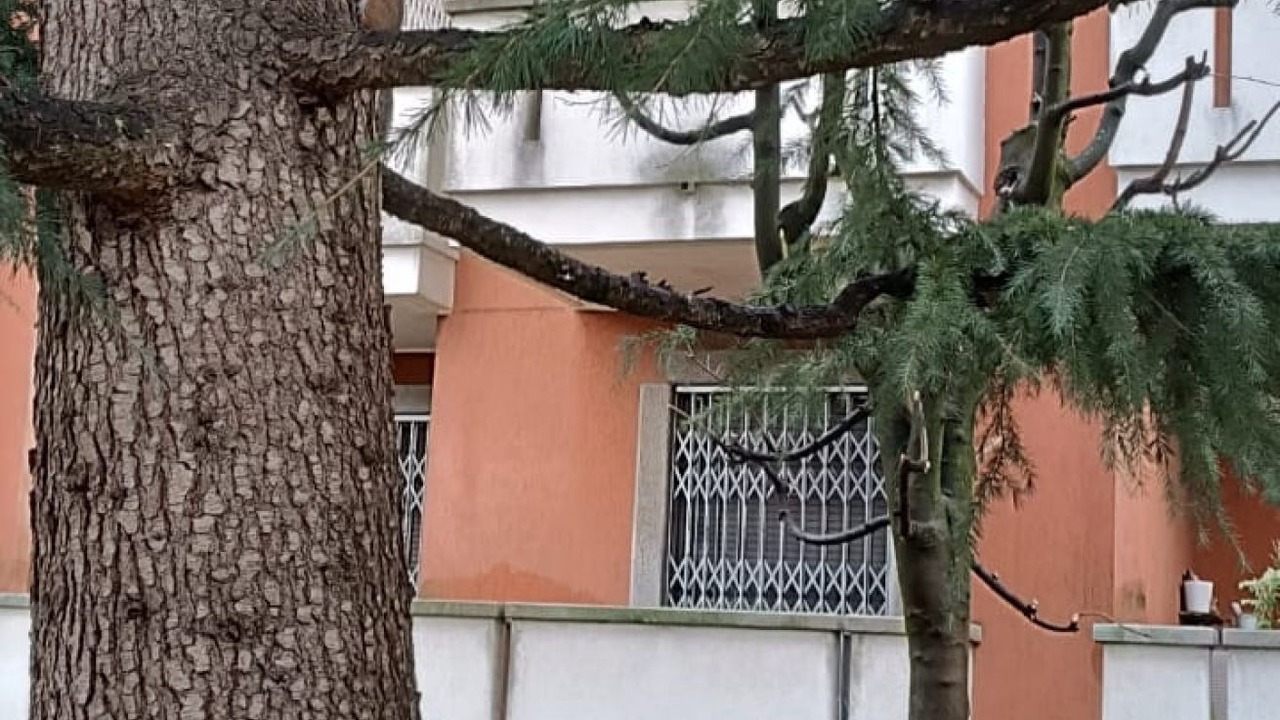 Photo of Outdoor in Mazzo