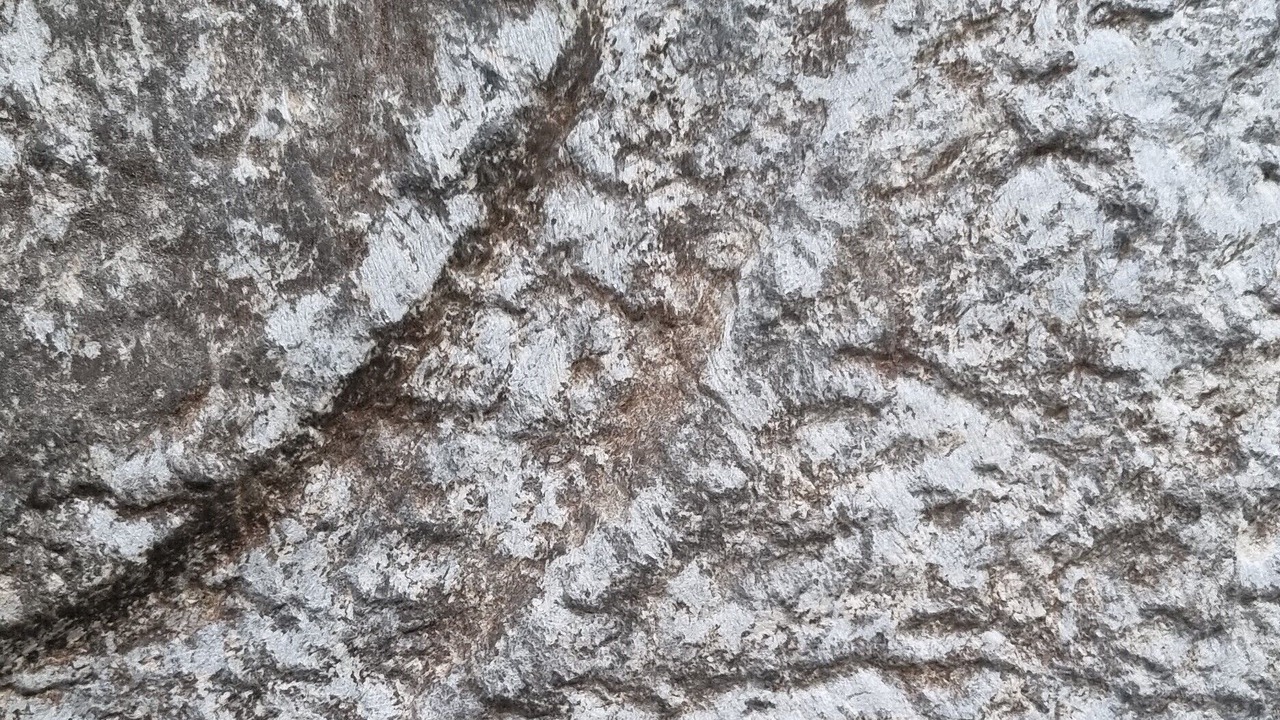 Photo of Outdoor in Cortinaccia