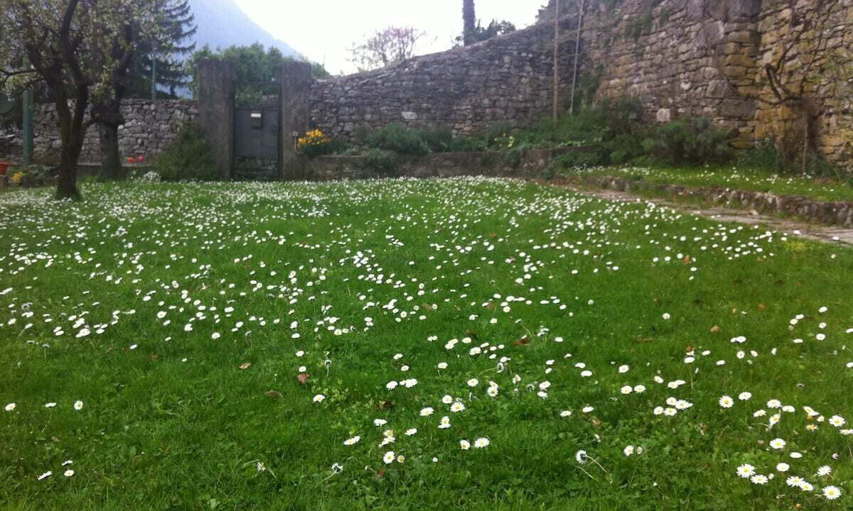 Photo of Outdoor in Torno