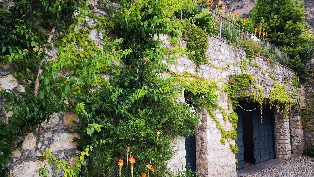 Photo of Outdoor in Gargnano