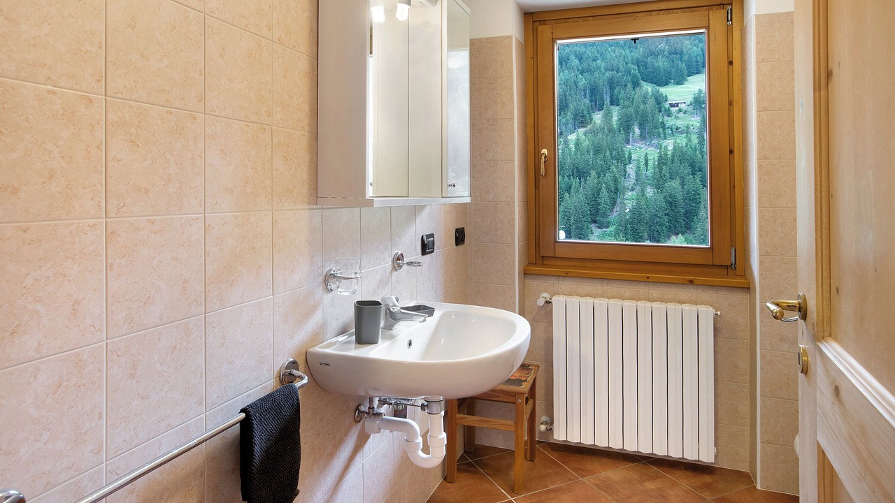 Photo of Bathroom in Santa Caterina Valfurva
