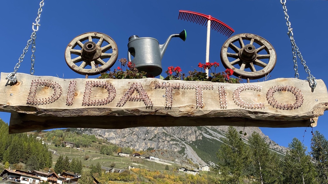 Photo of Outdoor in Isolaccia
