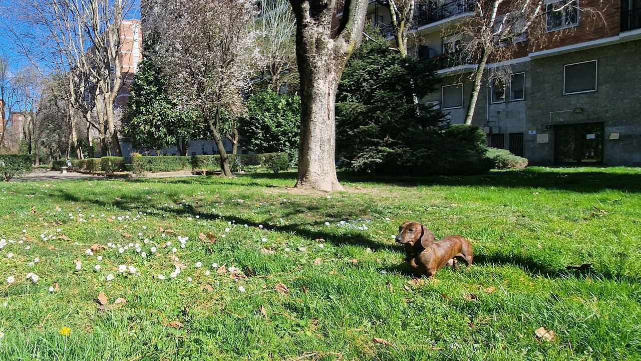 Photo of Outdoor in Binda