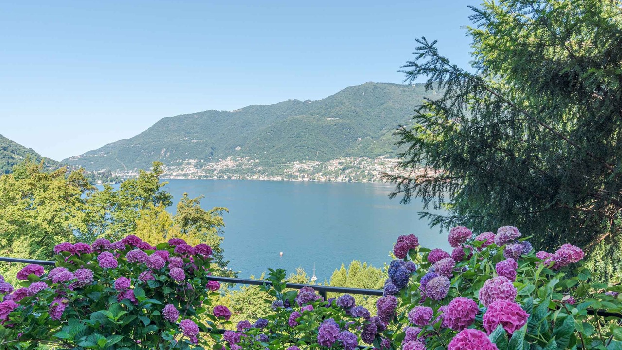 Photo of Others in Riva