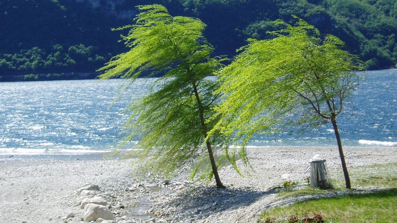 Photo of Others in Abbadia Lariana