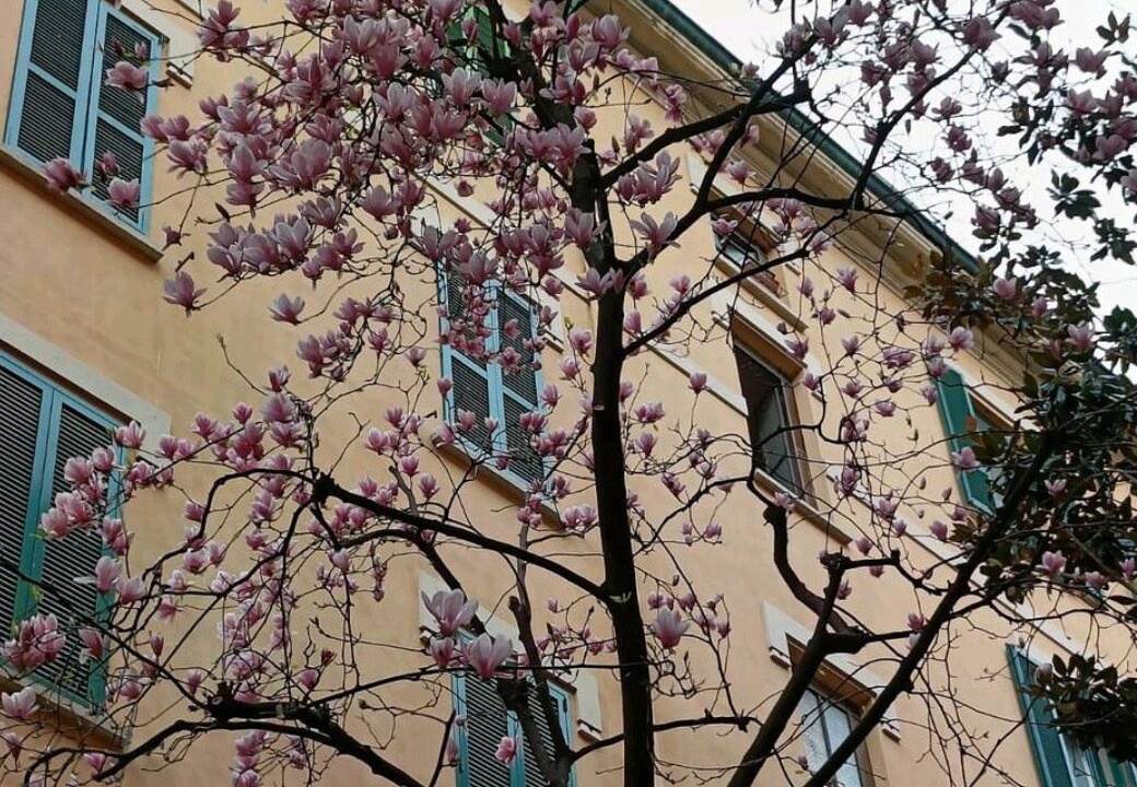 Photo of Outdoor in Bullona