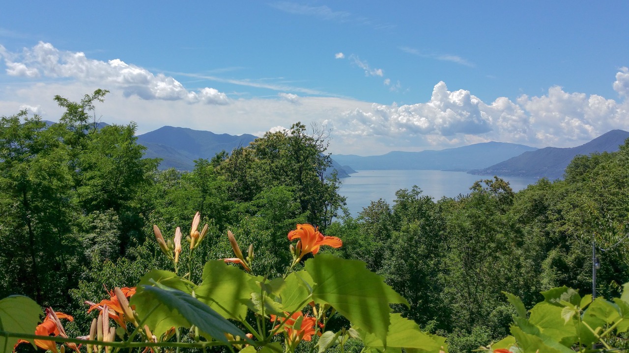 Photo of Others in Luino