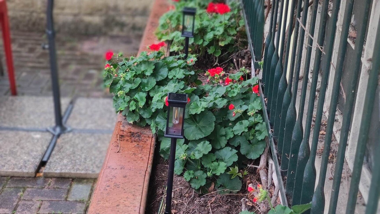 Photo of Outdoor in Milan